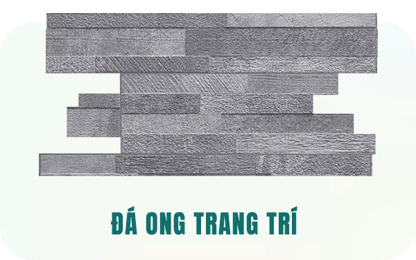 Da Ong Trang Tri